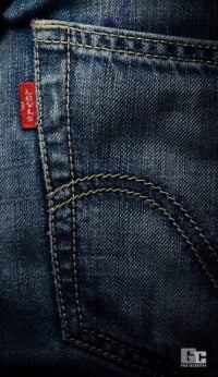 levis history in hindi